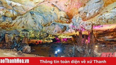 Promoting tourism development in Thanh border area