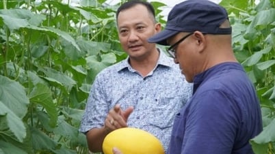 Hậu Giang làm du lịch nông nghiệp theo hướng "nhà có số, đường có hoa"