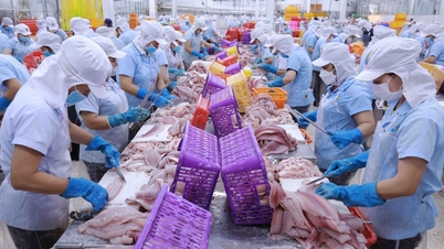 វៀតណាម - EAEU FTA៖ ការជំរុញការនាំចេញរបស់វៀតណាម