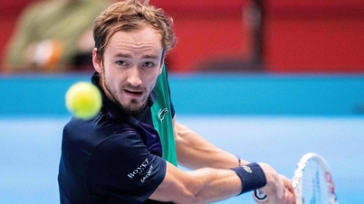 Medvedev faces Sinner in Vienna Open final