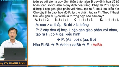 Bí quyết ôn thi tốt nghiệp THPT đạt điểm cao: Xác định kiểu gen