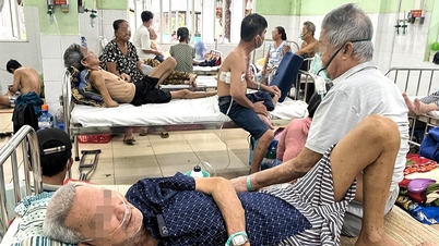 អ្នក​ជំងឺ​សង្គ្រោះ​បន្ទាន់​ចូល​មន្ទីរពេទ្យ Pham Ngoc Thach ត្រូវ​ដេក​នៅ​ជាន់​ទី IV តើ​មន្ទីរ​សុខាភិបាល​ក្រុង​ហូជីមិញ​បាន​ណែនាំ​អ្វី?