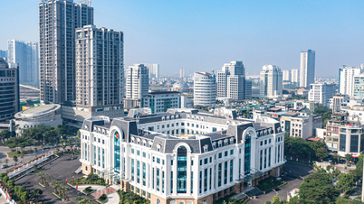 Niềm tin Hà Nội làm nên 'kỳ tích sông Hồng'