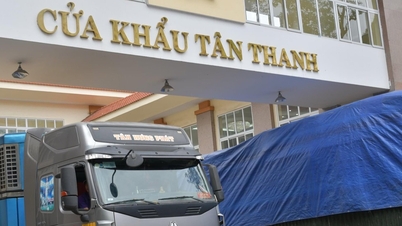 Sẽ cấm xuất khẩu nếu gian lận mã số vùng trồng