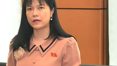 Đề nghị giải trình trách nhiệm vì thu hồi đất sân bay Long Thành chậm