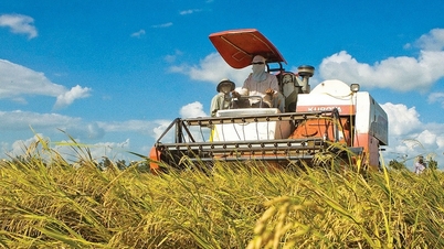 Vì một nền nông nghiệp phát triển bền vững