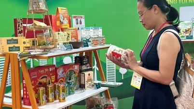 TPHCM kết nối với ĐBSCL xây dựng chuỗi cung ứng hàng hóa và dịch vụ