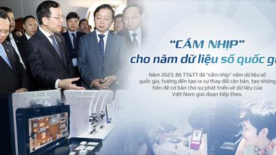 'រក្សាការវាយដំ' សម្រាប់ឆ្នាំទិន្នន័យឌីជីថលជាតិ