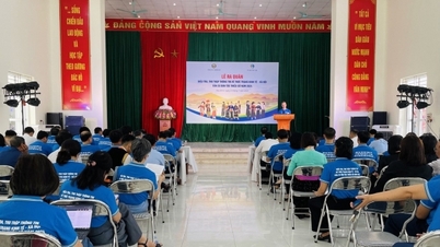 Ra quân điều tra, thu thập thông tin về thực trạng kinh tế