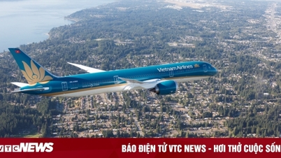 Nhiều vé giá hấp dẫn trên toàn mạng bay của Vietnam Airlines
