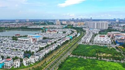 Năm mới, đầu tư vào phân khúc bất động sản nào sẽ &amp;amp;apos;hái ra tiền&amp;amp;apos;?