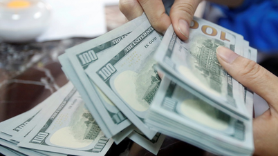 USD exchange rate today (June 18): USD experienced a sharp decline week after the Fed meeting