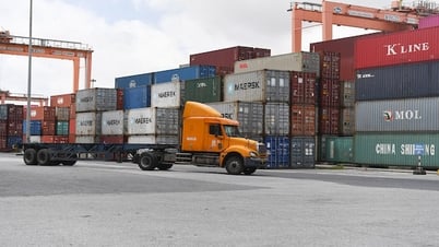 3 doanh nghiệp Việt cùng bị dính vào một phi vụ lừa đảo quốc tế?
