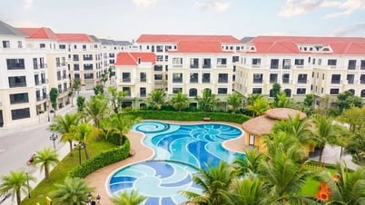 Phân khu San Hô - Vinhomes Ocean Park 2 ưu đãi cuối năm