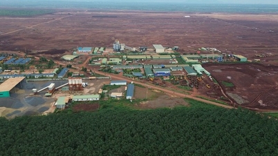 Đồng Nai hoàn tất bàn giao 5.000 ha đất cho dự án sân bay Long Thành