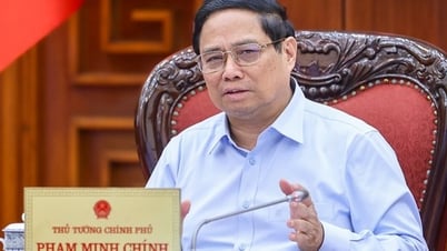Thủ tướng phê bình một loạt tỉnh thành chậm trễ văn bản hướng dẫn thi hành Luật Đất đai