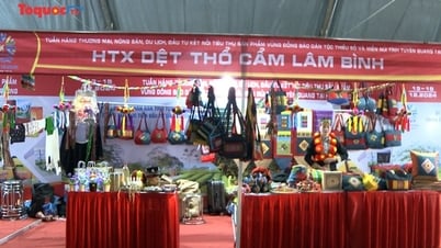 Đẩy mạnh thu hút đầu tư, tiêu thụ sản phẩm của đồng bào dân tộc thiểu số và miền núi
