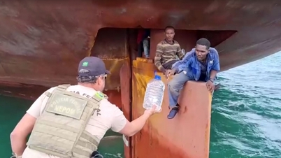Bốn người Nigeria được giải cứu sau 14 ngày sống trên bánh lái tàu