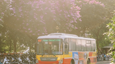 Mon Hanoi