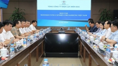 EVNNPC và SamSung Việt Nam bàn kế hoạch sử dụng điện và phương án cấp điện
