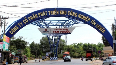 អ្នកដឹកនាំសួនឧស្សាហកម្ម Tin Nghia (TIP) លាលែងពីតំណែង លំហូរសាច់ប្រាក់អវិជ្ជមាន 33 ពាន់លាន