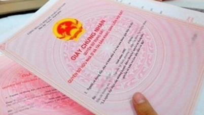 Cố tình chuyển nhượng đất không có sổ đỏ bị xử phạt ra sao?