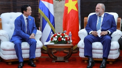 ឧបនាយករដ្ឋមន្ត្រី Tran Hong Ha ជួបជាមួយនាយករដ្ឋមន្ត្រីគុយបា Manuel Marrero Cruz
