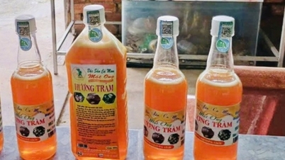 រក្សាម៉ាកសម្រាប់ទឹកឃ្មុំ U Minh Ha