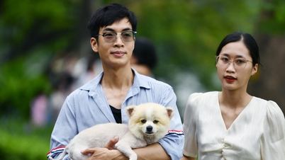 Dự báo thời tiết 1/9/2024: Bắc Bộ nắng nóng, chiều tối có mưa giông