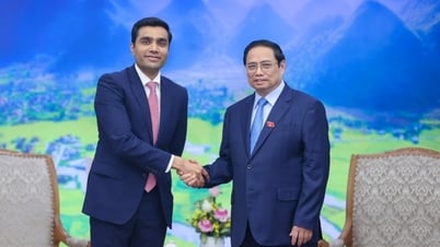 Prime Minister Pham Minh Chinh receives General Director of Adani Port and Economic Zone Company
