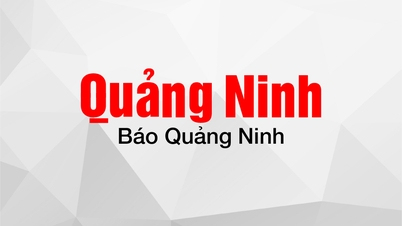 2023년 동트리우 타운 수영대회 정보