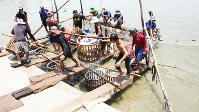 ទោះបីជាមានការលំបាកជាច្រើនក៏ដោយ ការនាំចេញត្រីងៀតនៅឆ្នាំ 2025 នៅតែមានបំណងសម្រេចបាន 2 ពាន់លានដុល្លារអាមេរិក
