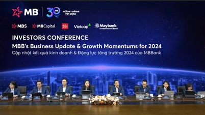 Các nền tảng số sẽ chiếm trên 50% doanh thu trong tương lai của MB