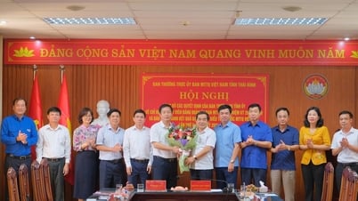 Designación de dirigentes y miembros de la Delegación del Partido del Comité Provincial del Frente de la Patria de Vietnam