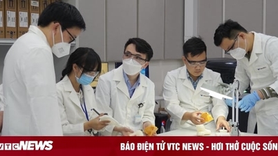 VinUni giành giải Nhì cuộc thi Sáng kiến Khoa học 2023