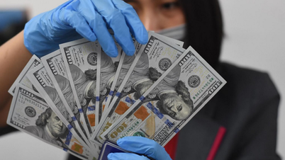 Tỷ giá USD hôm nay (12-6): Cuộc họp của Fed sẽ quyết định xu hướng đồng USD