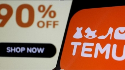 EU sues Temu for illegal products