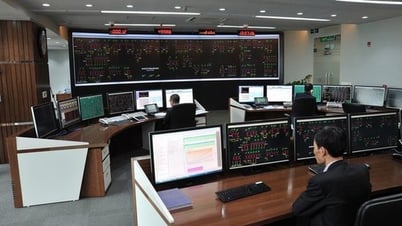 The Ministry of Home Affairs does not support the transfer of the Power System Control Center to the public sector.