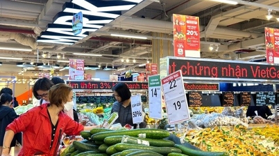 WinCommerce chinh phục người tiêu dùng bằng những sản phẩm ‘của nhà trồng’