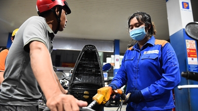 The government proposes to reduce environmental tax on gasoline by the end of next year.