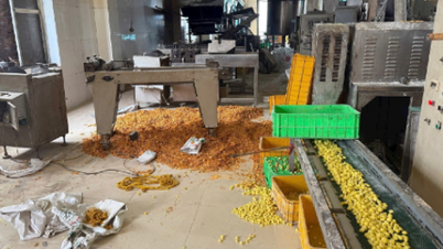 Kirli gıda hala yaygın