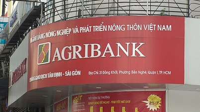 ធនាគារ Agribank ស្វែងរកការយកមកវិញនូវទឹកប្រាក់ចំនួន 1,000 ពាន់លានដុង ដែលបានផ្តល់ប្រាក់កម្ចីដល់ Tan Hoang Minh