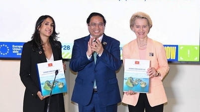 Vietnam to receive $15.5 billion from partners for energy transition