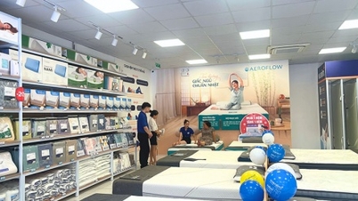 Vua Nem expects to achieve positive profit in 2024 thanks to loss reduction exceeding plan