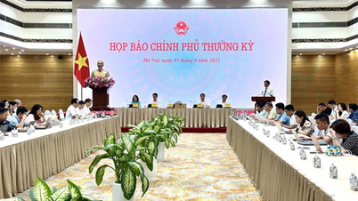 Họp báo Chính phủ: Phát sinh nhiều tiêu cực, vi phạm liên quan giấy khám sức khỏe