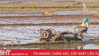 Huyện thứ 2 của Hà Tĩnh hoàn thành gieo cấy lúa hè thu