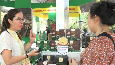 Promote capacity building activities for women to participate in cooperative management