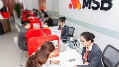 ក្រុមហ៊ុន ROX Living ចង់លក់ភាគហ៊ុន MSB ជិត 59 លានហ៊ុន