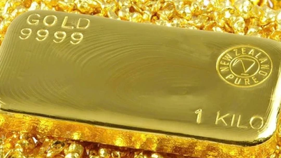 Giá heo hơi ngày 5/11/2024: Dao động trong khoảng từ 58.000 đến 64.000 đồng/kg