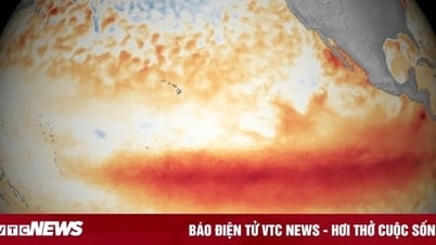 Hồi chuông báo động đã điểm với hiện tượng ấm lên toàn cầu